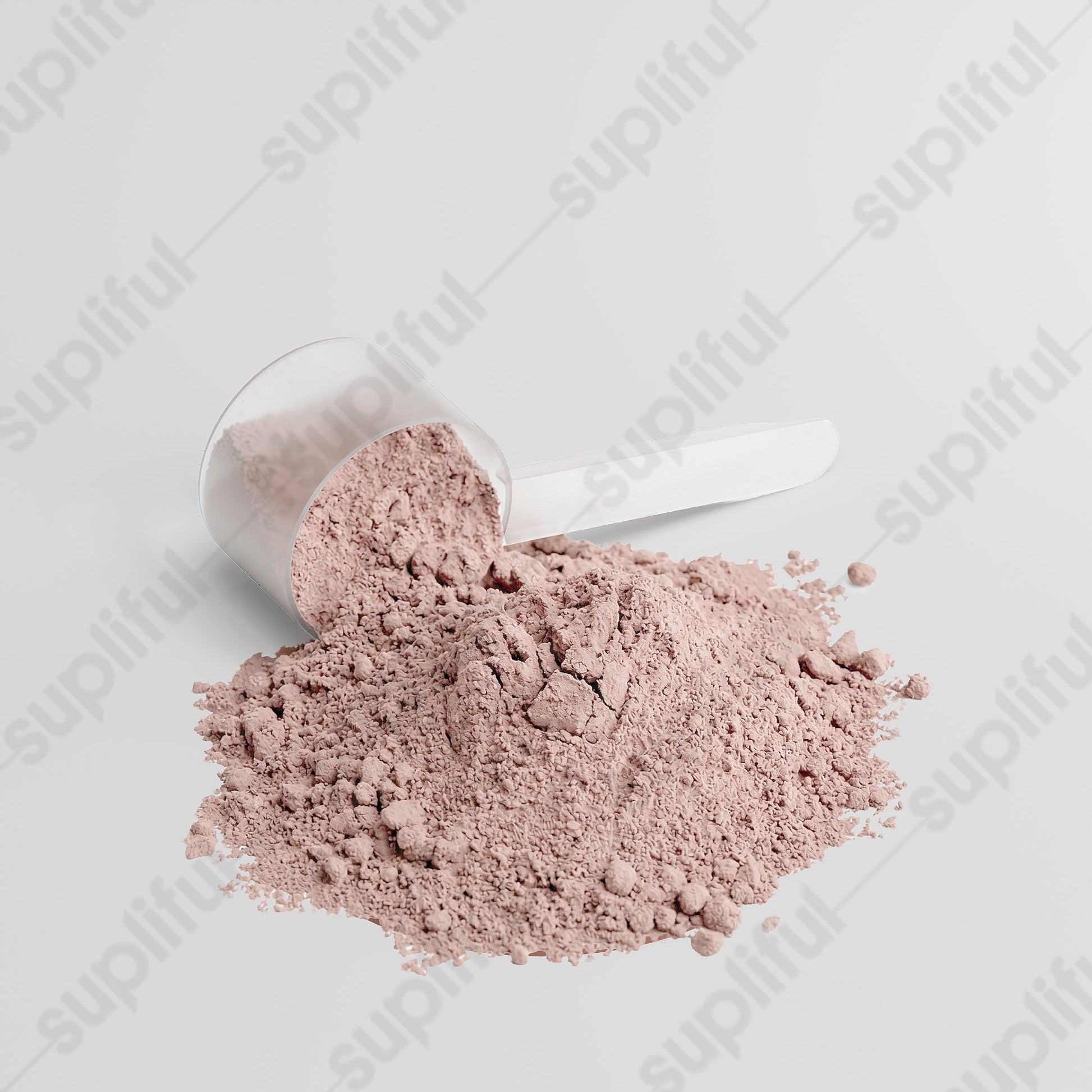 ProteinRise Advanced Whey Protein Isolate – Chocolate - ProteinRise